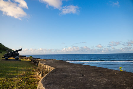 Coastal cannons overlooking ocean