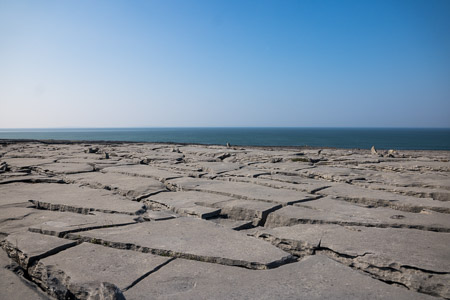 Limestone pavement coast