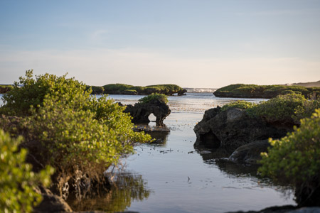 Rocky tide pools arch rock