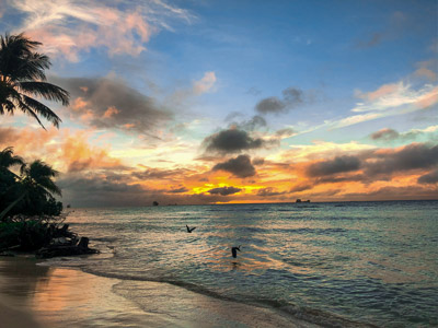 Tropical beach sunset palms