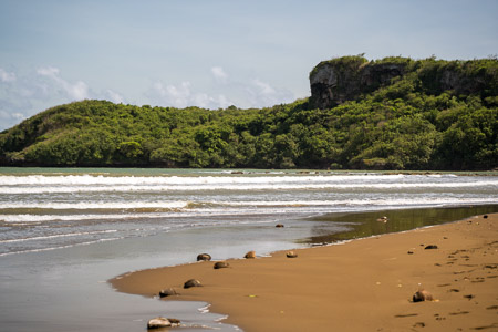 Tropical beach waves jungle