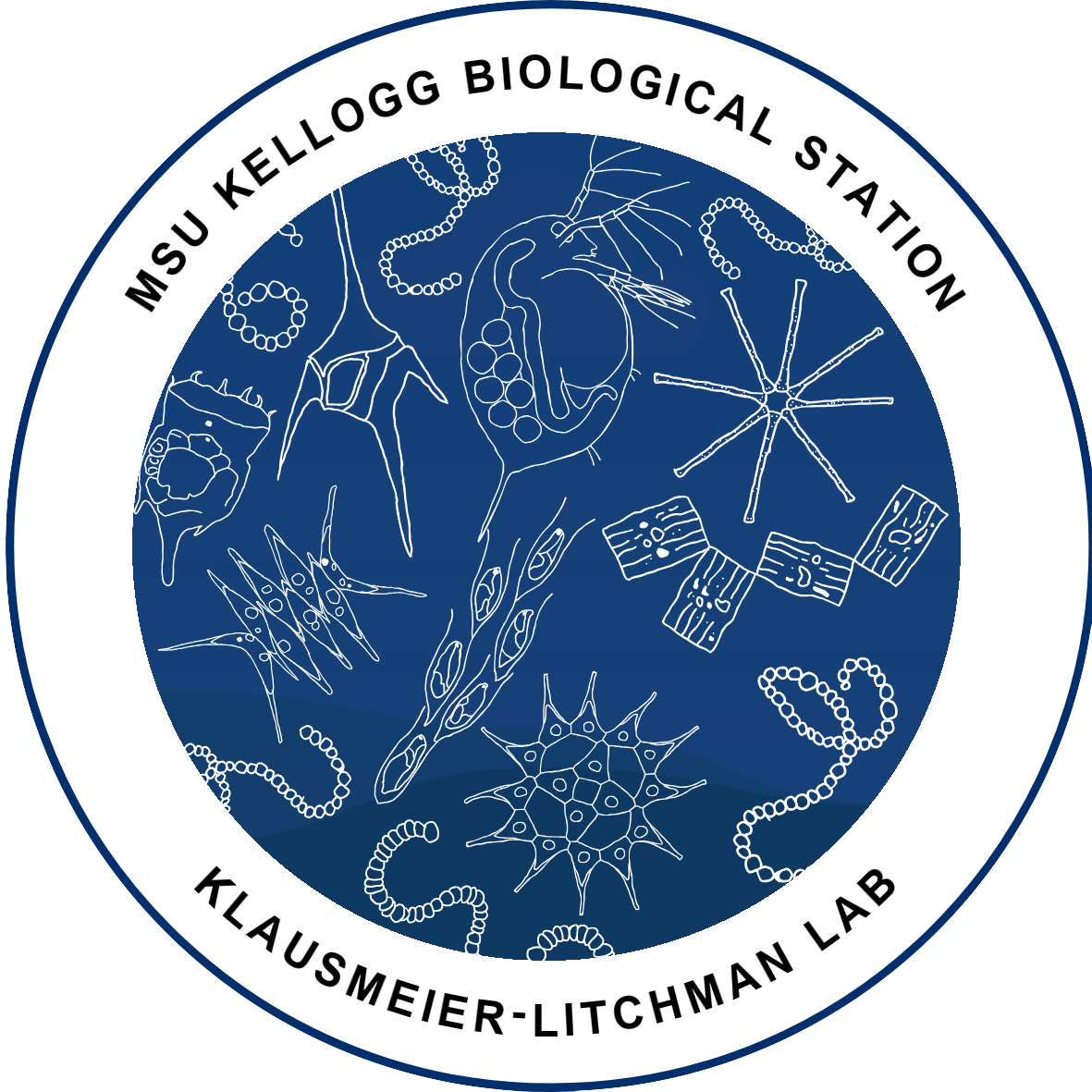 Klausmeier–Litchman Lab